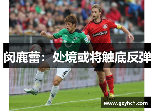 闵鹿蕾：处境或将触底反弹